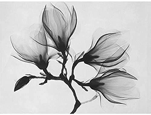Wee Blue Coo Magnolia Branch Xray Unframed Art Print Poster Wall Decor 12x16 inch Wand Deko