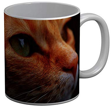 Fabulous Mug Céramique Joli Chat Roux Europeen Fixe du Regard Mignon Yeux Verts