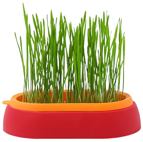 Fukamou Katzengras-Wachstumsset, Sprouter Tablett, Keimvermehrung Tabletts, Katzengras-Pflanzgefäße, Für Katzengras, Weizengras.
