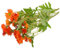 Amosfun 2 Stück Künstliche Chrysanthemen Gänseblümchen Seidenblumenstrauß Orange Kunstblumen Gänseblümchenblumenstrauß Seide Margeriten Blumen Außendekoration Seidenpflanzen Gerbera