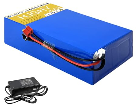 HJGHY 24v,8AH, Batterie Lithium Haute Puissance 24 V, 36 V, 48 V, 8 Ah, 10 Ah, 12 Ah, 15 Ah, 20 Ah, Rechargeable, pour Moto et Scooter, avec Chargeur.