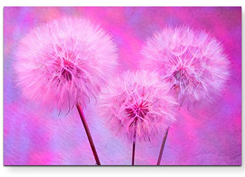 Paul Sinus Art Abstrakte Pusteblumen in Pink - Leinwandbild 120x80cm