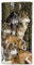 HGOD DESIGNS Wolf Handtücher Gruppen von Wolfs Wildtier-Design weiches Handtuch für Badezimmer Küche Yoga Gym dekorative Handtücher 38,1 x 76,2 cm