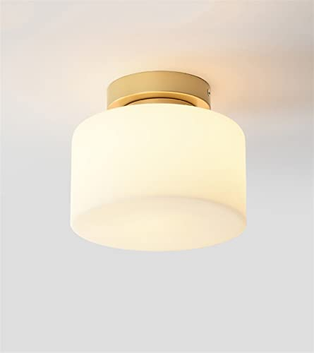 GEONLY Luz de techo de vidrio de placas de vidrio Luz de techo DIRIGIÓ Lámpara de sala de estar creativa Pasillo de la lámpara de techo.,Aplicación amplia