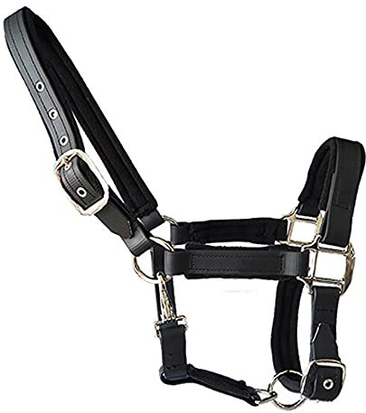 tooloflife Halfter für Pferde, klassisch, doppellagig, verdicktes Nylon, weich gepolstert, für Fohlen, Pony, Esel