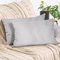 2er Set Kissenbezug 40x60 cm hellgrau Samt flauschig weich Sofakissen Dekokissenbezug Kissenhülle für Couch, Schlafzimmer, Wohnzimmer & Balkon, Moonlight, mit verstecktem Reißverschluss