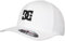 DC Shoes Star Flexfit Cap (White/Black, S/M)