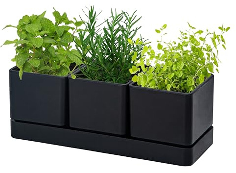 D'vine Dev Herb Garden Planter Set, Plastic Plant Pots with Drainage and Saucer, Indoor Succulent Cactus Vegetable Pot for Windowsill, Garden Balcony, Black, Set of 1, 76-V-B-1