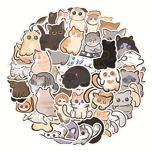 Cat Aufkleber für Laptop (60 PCS),Geschenk für Kinder Jugendliche Erwachsene Jungen,Katze Stickers Wasserdicht Vinyl Aufkleber für Scrapbook,Skateboard,Auto,Gepäck