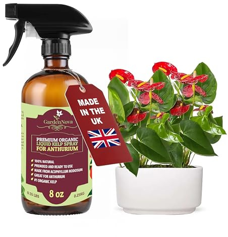 GARDENNOVA Professional Organic Liquid Kelp Spray for ANTHURIUM Plants - 8 oz - Ready-to-Use Fully Organic Seaweed & Kelp Fertilizer Mist