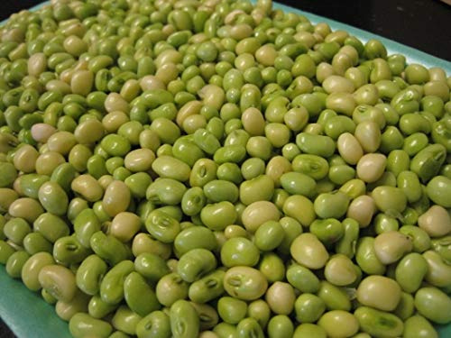White Acre Pea Seeds - GET The Cornbread Ready - This is one of The Best(500 - Seeds)