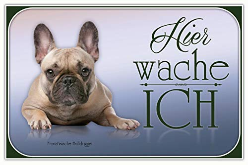Blechschild 20x30cm gewölbt Französische Bulldogge Hund Deko Geschenk Schild