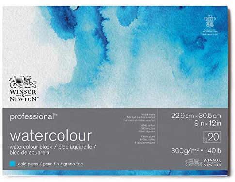 Winsor & Newton 6664002 Professional Aquarellpapier im Block - 20 Blatt 22,9 x 30,5cm, 300g/m², Feinkorn, helles natürliches weißes Papier in archivierbarer Qualität, gilbbeständig