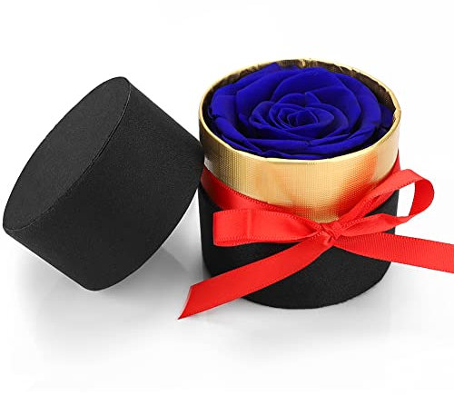 RANJIMA Rose Stabilizzate Fatte a Mano, Regalo per la Festa della Mamma, Fiori Conservati Fatti a Mano, Fiore Mai Appassito Regali per la Mamma, Ragazze Regali di Nozze, Compleanno per Donne Moglie