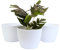 Home Garden Ornaments Pot de Fleur Interieur - Pots de Fleurs Exterieur - Rayés Pot Plante Intérieur Lot de 3 - Décoratif Pot de Fleur Exterieur (Diamètre: 18cm, Couleur: Blanc)