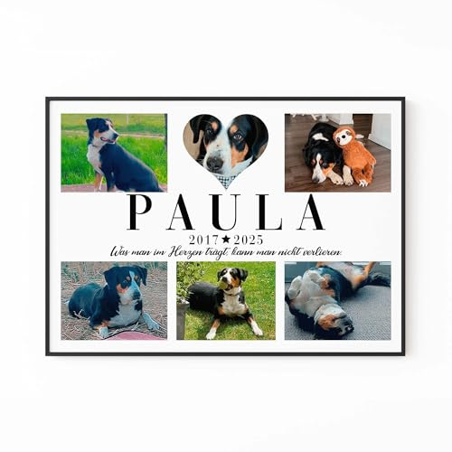 Yuweli Personalisierte Geschenke zum Andenken an Haustier | Fotogeschenk | Gedenktafel | Hund Katze mit eigenem Foto | Gedenktafeln| Poster