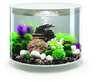 biOrb TUBE 35 LED Aquarium (35 Liter) - Aquarien-Komplett-Set mit LED Beleuchtung und patentiertem Filter-System | Acryl-Becken