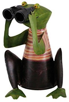 Zaunhocker Frosch mit Fernglas