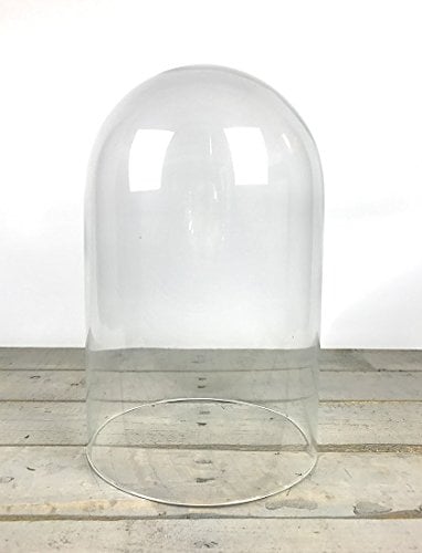 EMH Cloche circulaire en verre transparent soufflé à la bouche 40 cm