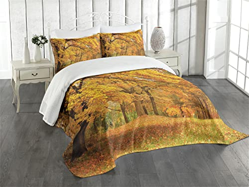 ABAKUHAUS Wald Tagesdecke Set, Fall Pale Ahornbäume, Set mit Kissenbezug Sommerdecke, für Einzelbetten 170 x 220 cm, Orange Braun
