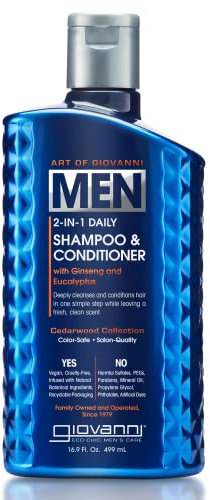 Art Of Giovanni, Men, 2-In-1 Daily Shampoo & Conditioner with Ginseng and Eucalyptus, 16.9 fl oz (499 ml)