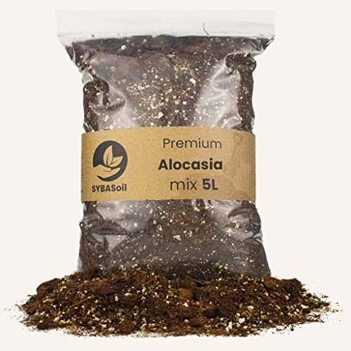 Sybotanica Alokasien-Erde 10 L – Premium Coco Blumenerde für Alocasia, Colocasia, Caladium & mehr, Torffrei & 180 Tage Bio-Dünger – Für Zimmerpflanzen-Liebhaber