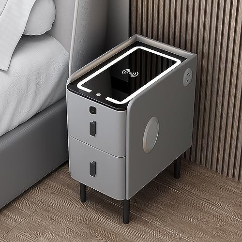 LLYLAFDC Modern 2 Drawer Nightstand Wireless Charging Fingerprint Lock Audio Smart Bedside Table 25*40*50cm Grey