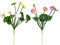 WOFASHPURET 2st Künstlicher Lotus Tischblumenarrangements Künstliche Seerosenstiel Seerosen-strauß Künstliche Lotusblume Künstliche Seerose Gefälscht Ländlich Plastik Braut Schneelotus