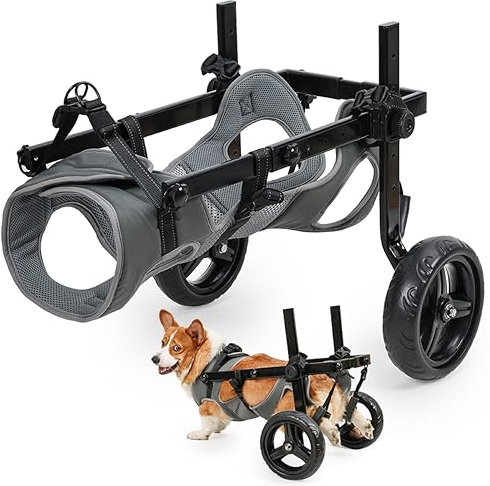 KAJILE Faltbar und Einstellbar Zweirädriger Rollstuhl für Haustiere,Hunderollstuhl für Große und Mittel Hunde,Rehabilitation der Hintergliedmaßen von Haustieren,Grau,L