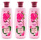 Biofresh Rose of Bulgaria Shower Gel Duschgel 3 x 330 ml