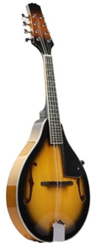 ZAMASS Mandolin For Beginners Acoustic Mandolin 8-String Electric Mandolin Spruce Glossy Panel(D)