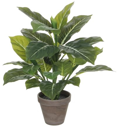 Mica decorations Evergreen Gruen in Topf Stan grau d13,5cm - h49cm