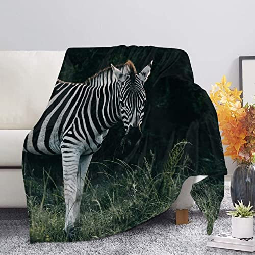 Kuscheldecke 80x150 Zebra, Flanell Fleecedecke 3D Zebra Weiche und Warme Decke, als Sofadecke Wohndecke Tagesdecke Wolldecken, für Kinder Erwachsene