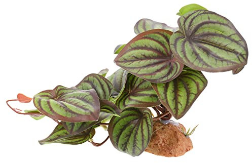 Yardwe Fausse Plante pour Terrarium Reptiles Décoration Végétale Accessoires Habitat Léopard Gecko Cachette Et Décor Naturel Adaptée pour Aquarium