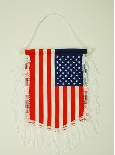 AZ FLAG - Wimpel Usa Vereinigte Staaten - 15x10 cm - Vereinigten Staaten Von Amerika Mini Flagge 10 x 15 Cm - Auto Pennant Spezielle Auto