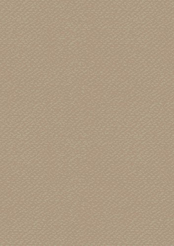 Heyda Bastelkarton Uni 50x70 220g h.br