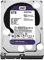 Western Digital Purple 6TB Surveillance 3.5 Inch SATA 6 Gb/s Hard Disk Drive with Allframe 4K Technology - 180TB/yr, 64MB Cache, 5400rpm - WD60PURZ