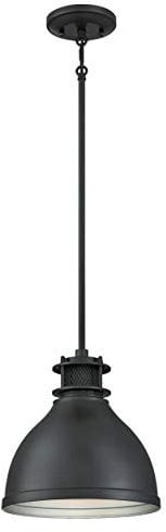 Westinghouse Lighting Einflammige Pendelleuchte, Ausführung mattgebürstete Gun-Metall mit Gitterschirm, Glas, 1 W, Matt gebürstetes, 25 x 25 x 109 cm, 6326840