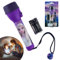 HOVUK Disney La Reine Des Neiges Lampe Torche LED 16 cm - Grande Lampe en Plastique Avec Cordon Attaché Réglable - Pour Camping, Voyage et Urgence