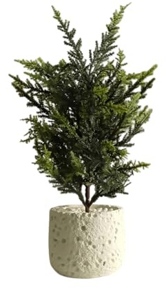 Hsyadazi Artificial Plants in Pot, 32 cm High Realistic Decorative Plants for Home and Office, Includes Ceramic Pot with Decorative Stones, Easy Care, Maintenance-Free Indoor Plant (White)