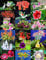 RARE Sinningia MIX, seltene usambaraveilchen duftenden Gartenblumen Samen 20 Samen