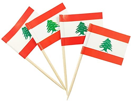 JBCD 200 Stück Libanon-Flagge Zahnstocher, libanesische Flaggen, Cupcake-Topper, Dekoration, Cocktail-Zahnstocher, Flagge, Kuchendekoration, Mini-Flagge, Cupcake-Picks