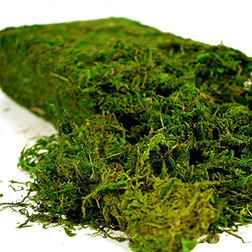 USMOLA Artificial Moss, 16OZ Fake Moss for Crafts Table Centerpieces Fairy Garden Wedding Party Decor, Faux Grass for Potted Plants, 455gr (Fresh Green)