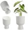 KADAX Pot de Fleurs en Forme de Calice - Plastique, 2 Tailles, 3 Couleurs - Pour Balcon, Terrasse, Rebord de Fenêtre (14 cm, Blanc)