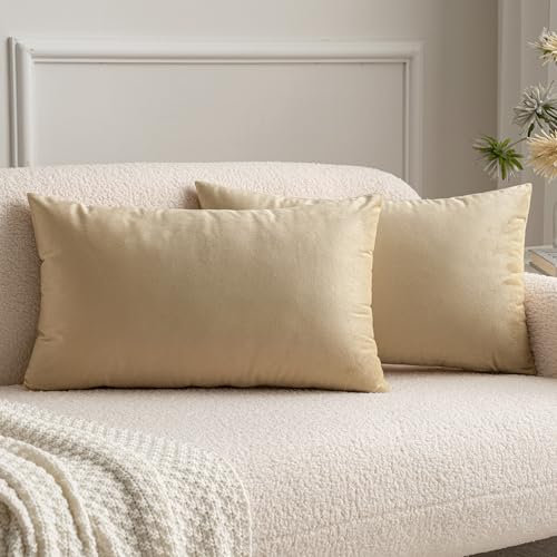 MIULEE Samt Kissenbezug Dekokissen Kissenhülle Zierkissenbezug Dekorative Zierkissenhülle mit Verstecktem Reißverschluss 30x50 cm 2er Set Beige
