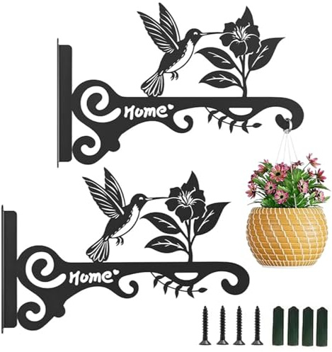 Zengjunwei Planta Suspensión Colgador 2 Piezas Soporte Para Plantas Para Colgar en La Pared Con Tornillo, Para Comedero Pájaros Maceta, Decoración Jardín Al Aire Libre (Pájaro picoteando flores B)