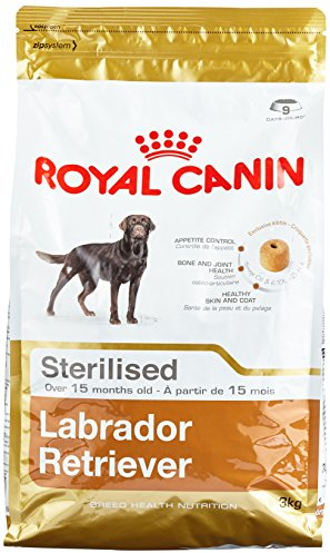 Royal Canin Labrador Adult Sterilised, 1er Pack (1 x 3 kg)