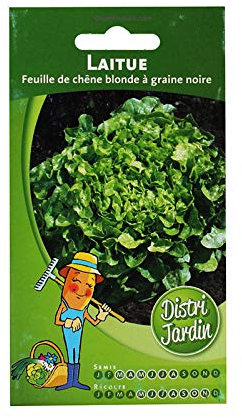 Laitue Feuille de chêne blonde à graine noir
