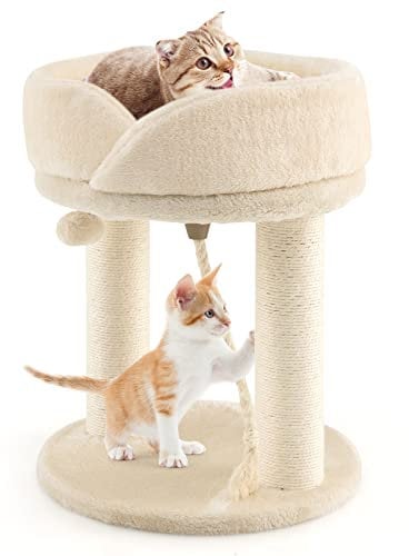 GYMAX Árbol Rascador para Gatos de 50,5 cm de Altura, Árbol de Escalada con Casa de Gato y Bola Colgante, con Columna de Sisal y Esponjas y Placa Base Reforzada, para Casa, Cafetería (Beige)
