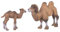 Alomejor 2 Stücke Miniatur Kamel Figur Modell, Kind Kinder Lernspielzeug Miniatur Tier Statue für Wohnkultur Wildlife Thema Party Supplies